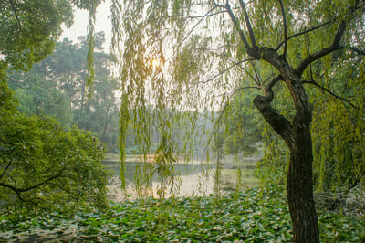 blog-it-image-1